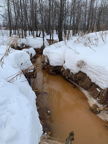 Росприроднадзор установил причины изменения цвета воды в р. Везлома в Нижегородской области